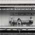 Christoph Radke, Vietnam, Ne York City, Queens, 2005